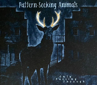 the album cover for Pattern-Seeking Animals - Only Passing Through [Import Limited Edition]
