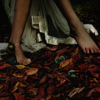 the album cover for E-L-R - Vexier [Digipak]