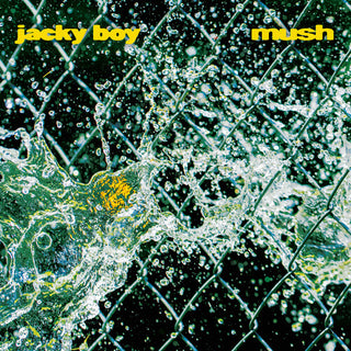 Jacky Boy- Mush