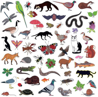 the album cover for Modern Nature - Island Of Noise