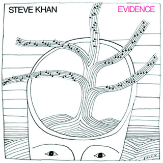 the album cover for Steve Khan - Evidence
