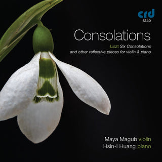 the album cover for Consolations / Various - Consolations / Various