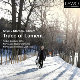 the album cover for Anvik / Sandvik - Trace Of Lament