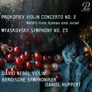 the album cover for Myaskovsky / Bergische Sinfoniker / Nebel - Symphony 25