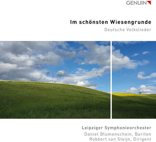 the album cover for Mendelssohn / Leipziger Symphonieorchester - Im Schonsten Wiesengrunde