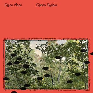 Dylan Moon- Option Explore