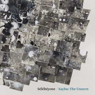 Steve Lehman- Xaybu: The Unseen