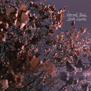 the album cover for Eerie Wanda - Internal Radio