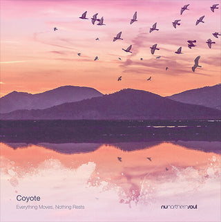 Coyote- Everything Moves Nothing Rests