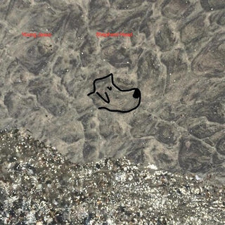 Young Jesus- Shepherd Head