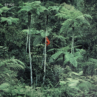 the album cover for Spice - Spice - Grey [Colored Vinyl] (Gry)