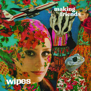 Wipes- Making Friends