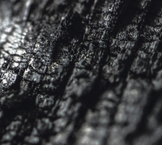 the album cover for Parallel Worlds - Plector