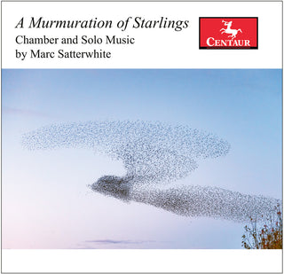 the album cover for Satterwhite / Karr / Mattingly - Murmuration Of Starlings