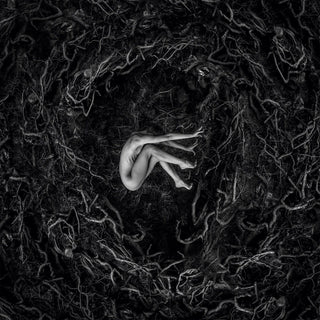 the album cover for FVNERALS - Let The Earth Be Silent [Digipak]
