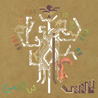 the album cover for Barnum / Cantus - Yggdrasil