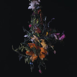 the album cover for Big/Move - Nature Morte