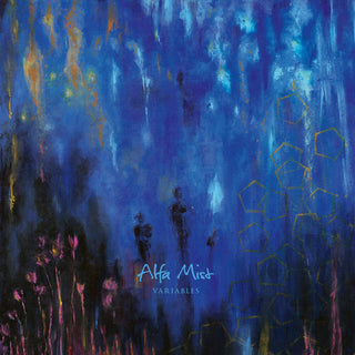 the album cover for Alfa Mist - Variables