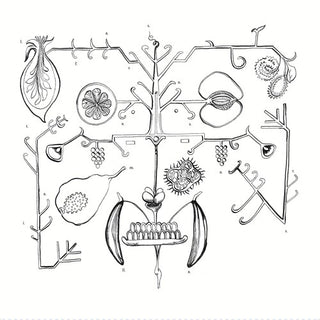 aa tigre- las frutas amarillas