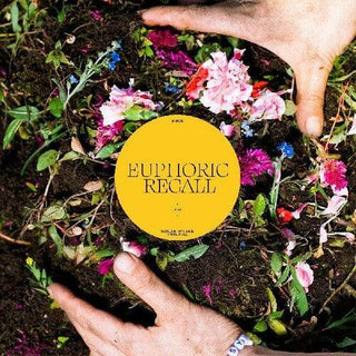 Braids- Euphoric Recall