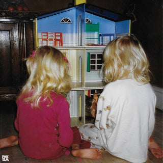 the album cover for 7EBRA - Bird Hour