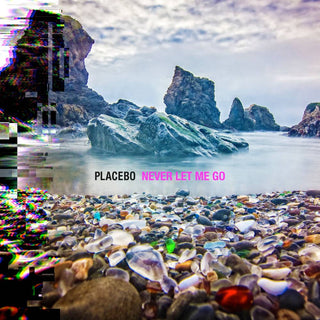 the album cover for Placebo - Never Let Me Go