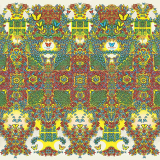 King Gizzard and the Lizard Wizard- Butterfly 3000 [Welsh]