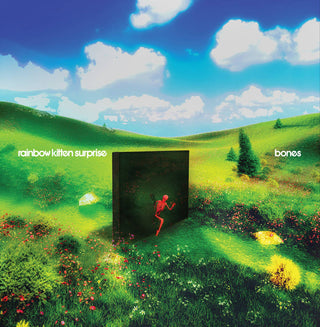 the album cover for Rainbow Kitten Surprise - bones