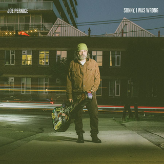 the album cover for Joe Pernice - Sunny, I Was Wrong