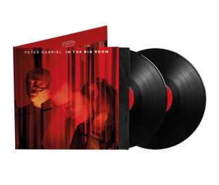 the album cover for Peter Gabriel - In The Big Room