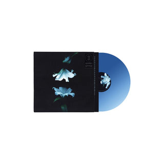 the album cover for Wasia Project - Nocturne [Indie Exclusive Blue]