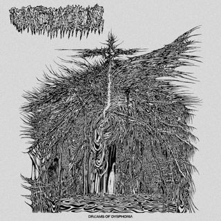 the album cover for Vacuous - Dreams Of Dysphoria