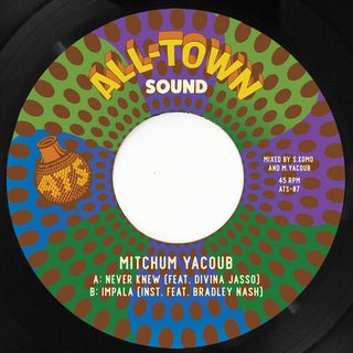 Mitchum Yacoub- Never Knew