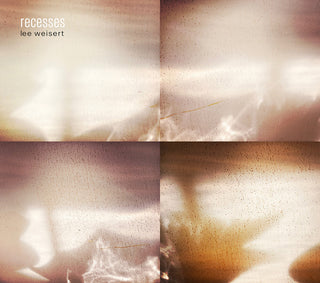 the album cover for Lee Weisert - Recesses
