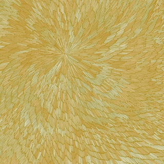 the album cover for Pjev / Kit Downes  / Chisholm,Hayden - Medna Roso