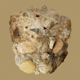 the album cover for Car the garden - Absence [With Booklet] (Asia)