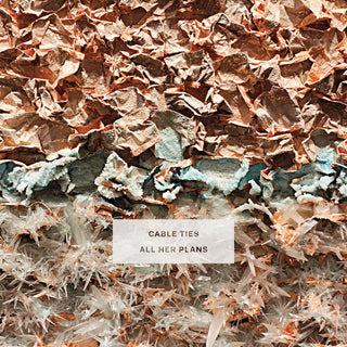 the album cover for Cable Ties - All Her Plans