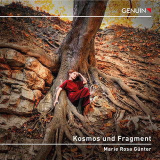 the album cover for Kallmeyer / Webern / Beethoven - Kosmos Und Fragment