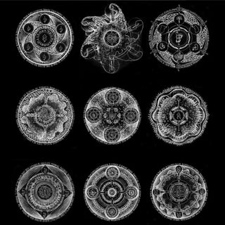the album cover for John Zorn  / Laswell,Bill - Memoria