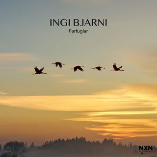 the album cover for Ingi Skulason  Bjarni - Farfuglar