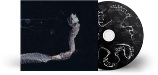 the album cover for Tenhi - Maaaet [Digipak]