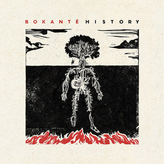 the album cover for Bokanté - History