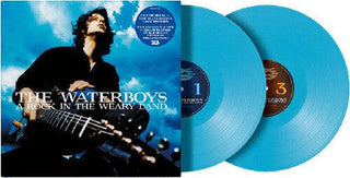 The Waterboys- A Rock In The Weary Land