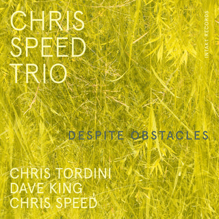 the album cover for Chris Speed - Despite Obstacles