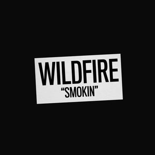 the album cover for Wildfire - Smokin'