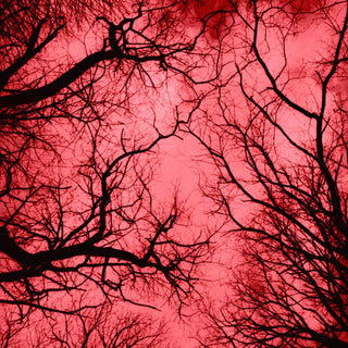 the album cover for Marco Colonna - Red Planet