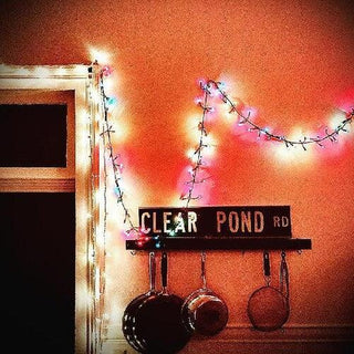 Kristin Hersh- Clear Pond Road (Vinyl)