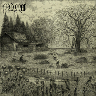 the album cover for Mizmor - Prosaic