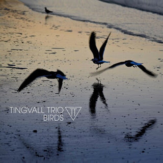 Tingvall Trio- Birds