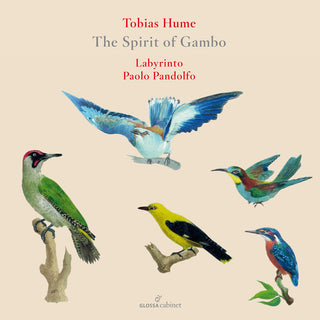 the album cover for Hume / Kirkby / Pandolfo - Spirit Of Gambo